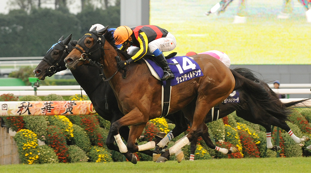 凄馬｜ジェンティルドンナ | 有吉正徳の凄馬 | UMATO