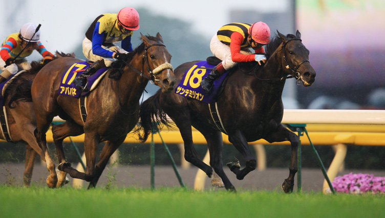 岡山学芸館優勝年代の冬の移動着ズボンです！ ☆送料無料☆東京 読売 ジャイアンツ 巨人 廣岡大志 背番号 & 勘亭流