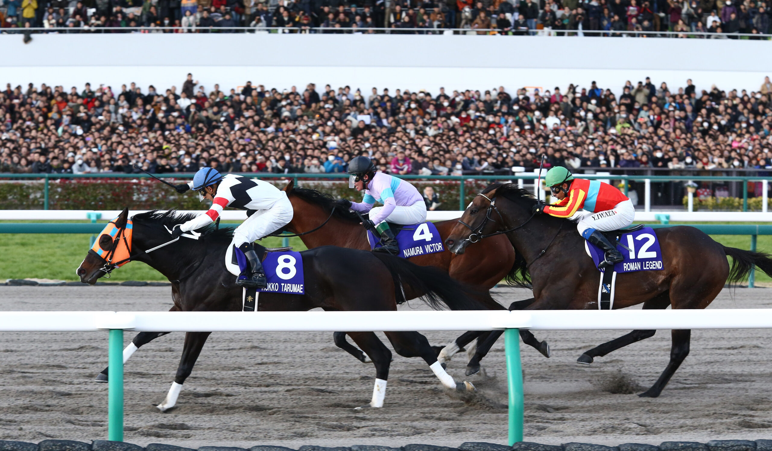 凄馬｜ホッコータルマエ | 有吉正徳の凄馬 | UMATO