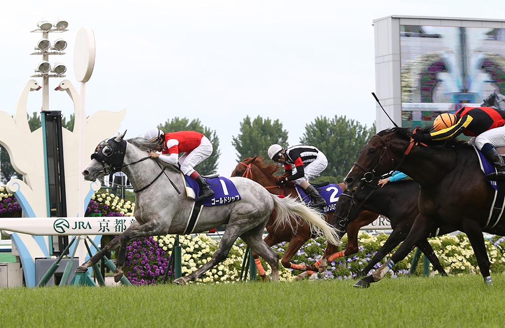 ゴールドシップ　2012有馬記念　馬券 JRAホームページ｜データファイル｜競走成績データ