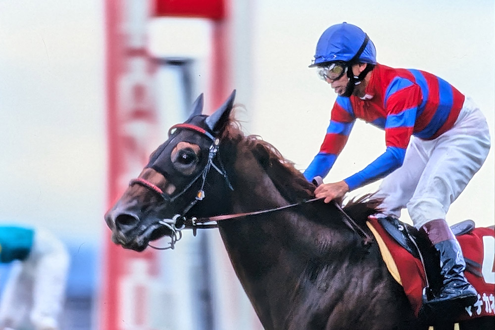 1997年の菊花賞優勝馬・マチカネフクキタル死す 26歳「最後は放