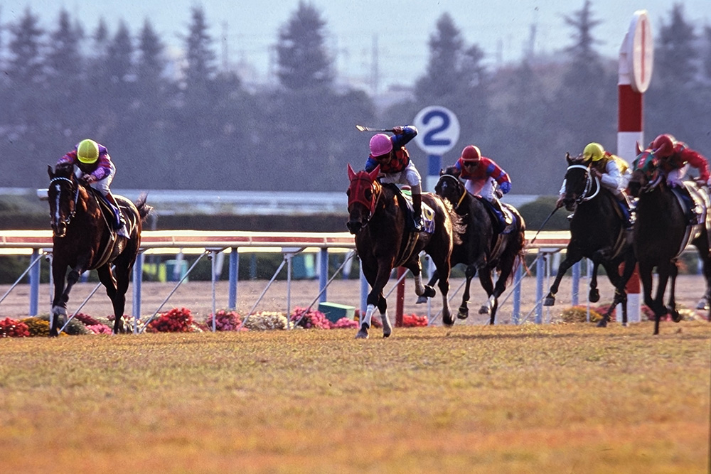 第52回(1991年) 菊花賞 | 岡田修平のアノ瞬間 | UMATO