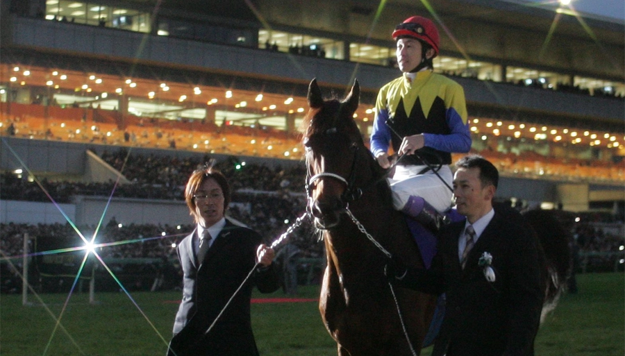 ディープインパクト（下）～引退戦・有馬記念、誰もが彼との別れを